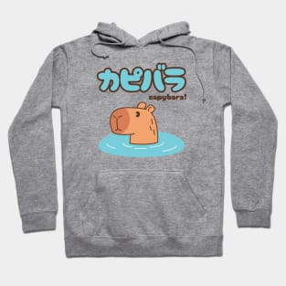 Capybara Hoodie